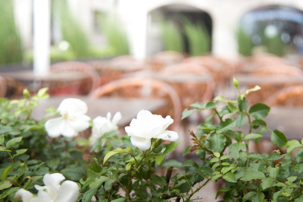 Posten_01_ Jürg Berchtold