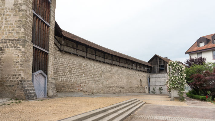 8-2   Berchtold Jürg