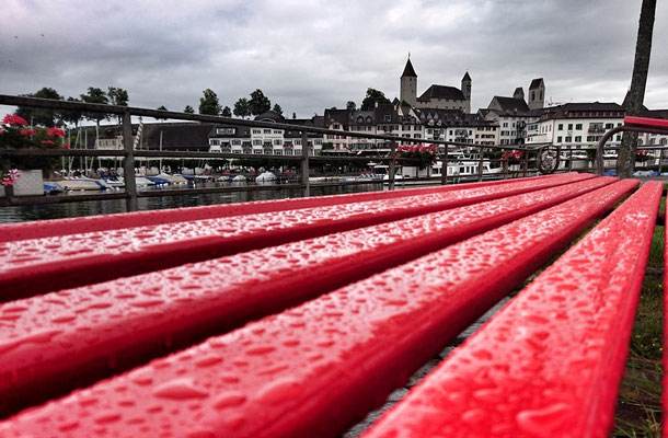 12  Etter Katharina- Negitrul_002