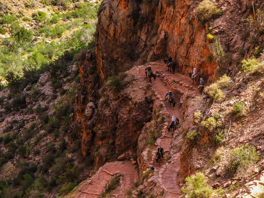 13 Jäggi Jean-Pierre - Eselweg