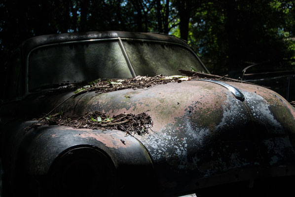 Foto: Arno Kloiber...Autofriedhof Kaufdorf