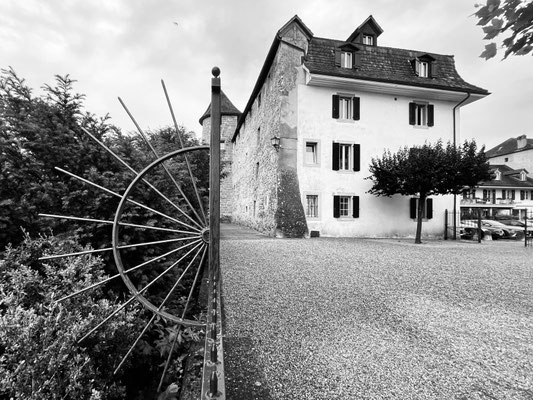 8-1 Radic-Radovanovic Dragica