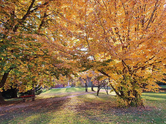 Krieg Barbara - Park Schadau