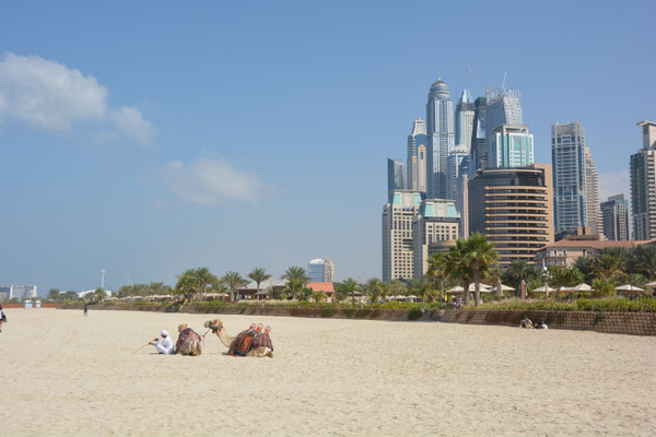 Foto: Werner Santschi...Dubai