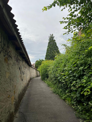 3-1 Radic-Radovanovic Dragica