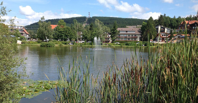 Der Kurteich im Sommer