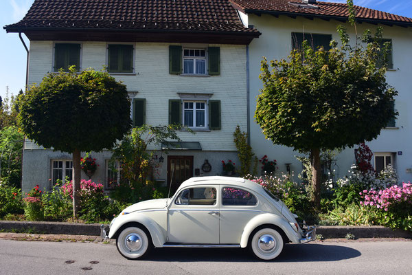 Foto: Andreas Ender - VW Käfer 1200 Typ 11 - Baujahr 1962 | von unserem iG Mitglied: Alexandra