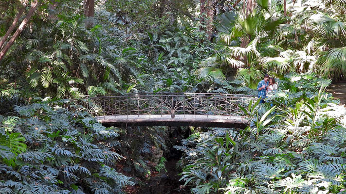 Botanischer Garten Malaga - romantische Brücke in wuchernder Wildnis.
