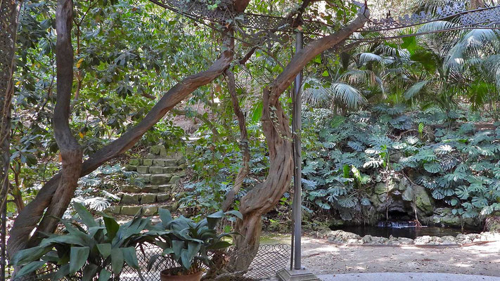 Botanischer Garten Malaga - neben dem Herrenhaus ist ein Laubengang ...