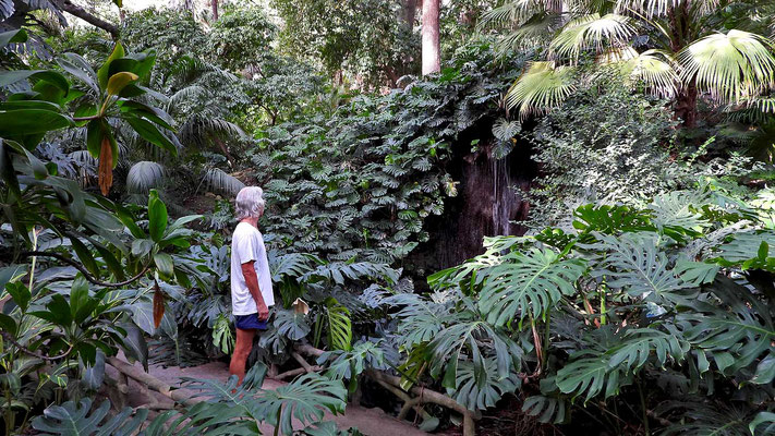 Botanischer Garten Malaga - Thomas im Dschungel.