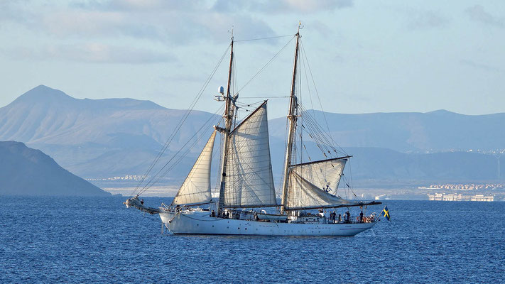 Segelschulschiff Gladan vor Fuerteventura