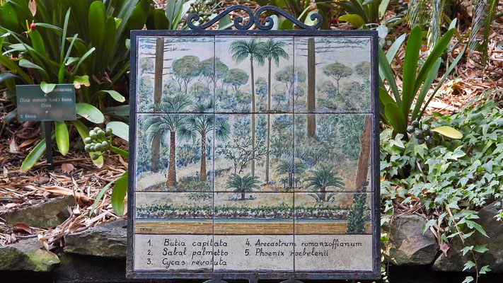 Botanischer Garten Malaga - nostalgisches Fliesenbild.