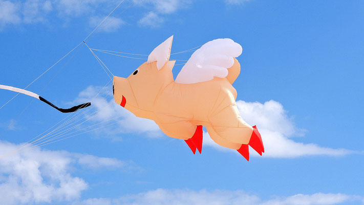 Wenn Schweine fliegen könnten - wieso "könnten"?