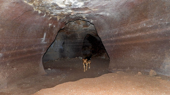 Piconhöhle am Risco de Famara.