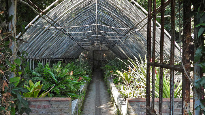 Botanischer Garten Malaga - stilvolle, alte Gewächshäuser.
