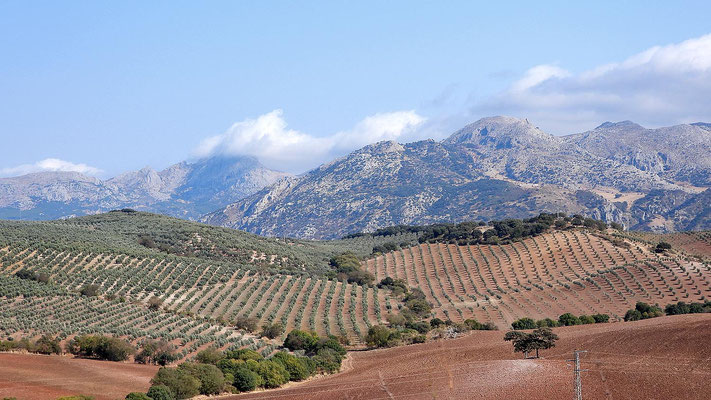Landschaft bei Antequera
