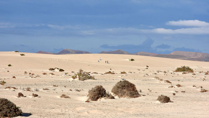 Blick ins Landesinnere von Fuerteventura. Das Betreten dieser Seite ist aus Naturschutzgründen eigentlich verboten. Hält sich nur keiner dran.