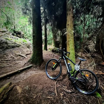 Rockrider st 900 foro store