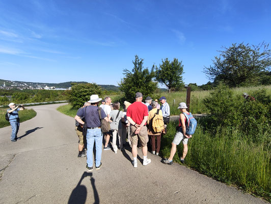 Was sind Streuobstwiesen?