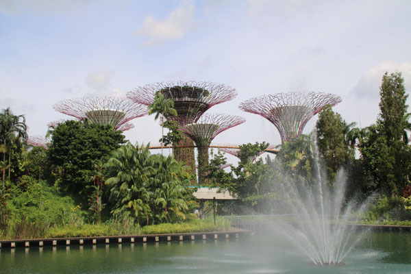 Gardens by the Bay