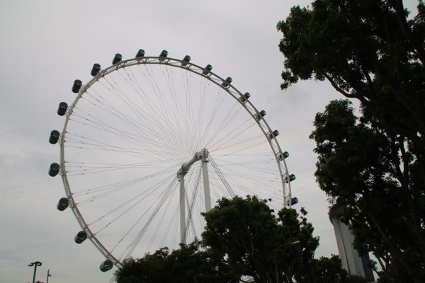 De Singapore Flyer