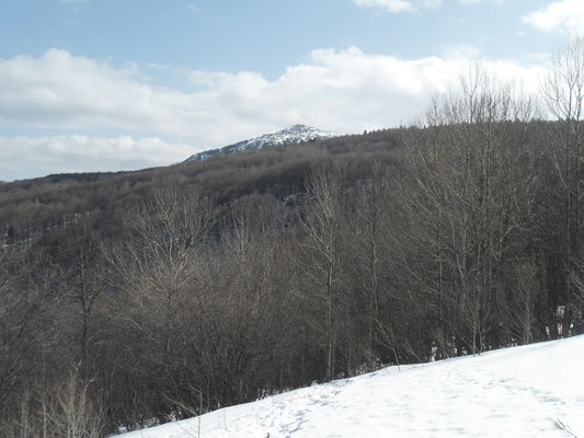 Vitosha Gebergte