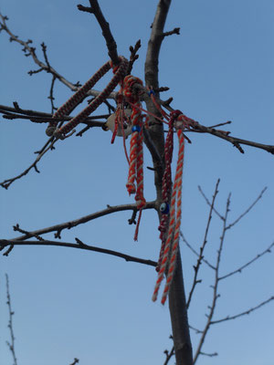 Geluksbandjes