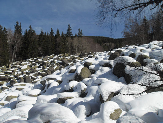 Vitosha Gebergte
