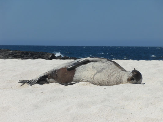 Mosquera Island