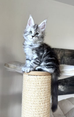 2 mois