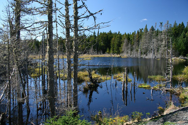 New Brunswick, Kanada: Fundy NP