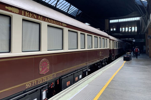 der Zug im Bahnhof von Sevilla