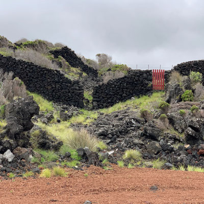 Zona de Adegas