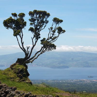 Blick von Pico auf die Insel Faial