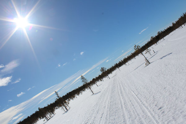 Auf Langlaufskieren durch die endlosen Weiten Lapplands