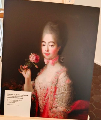 DRAGUI MUSEE Marie Joséphine de Savoie (1753-1810) comtesse de Provence