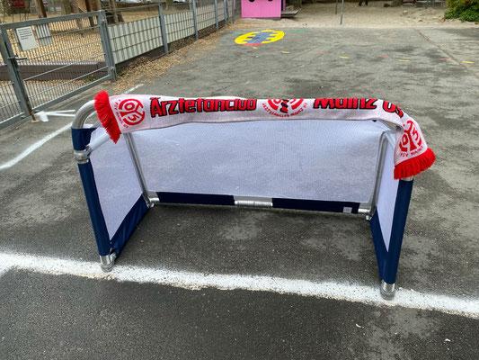 Der Schmuck des Tores zeigt eindeutig, den Ursprung der Sachen vom Ärztefanclub Mainz 05 e.V.