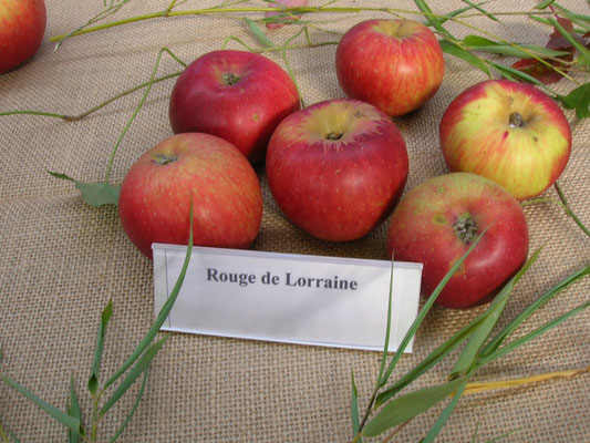 Un pays de pommes...des pommes de pays...