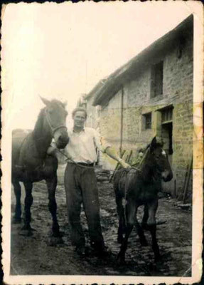 Avant l'arrivée des tracteurs, les chevaux avaient pour nom Princesse, Caline... ; le jeune homme, c'est mon papa !