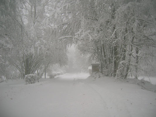 La neige fait le bonheur des amateurs de bonhommes de neige et des skieurs de fond