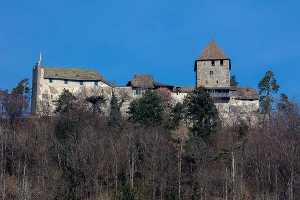 Burg Hohenklingen, erste Hinweise zum Bau gehen auf das 11. Jahrhundert zurück
