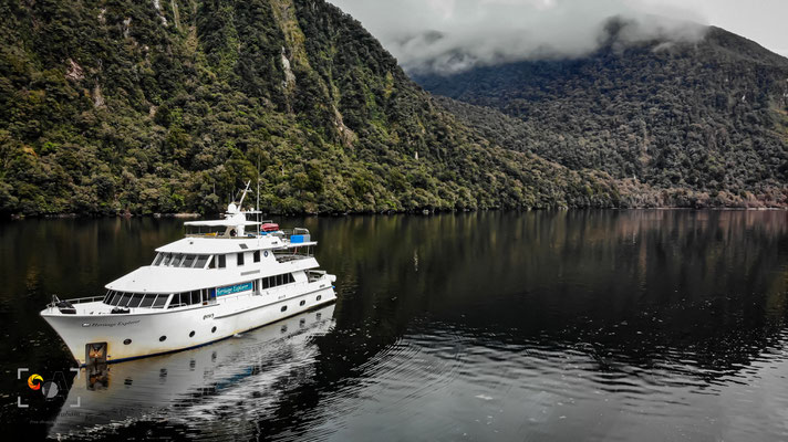 Fiordland, iso 100, f 2.8, 1/320s