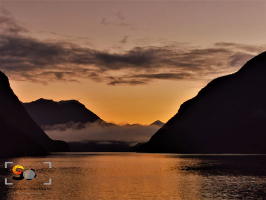 Fiordland, iso 400, f 3.5, 1/400s