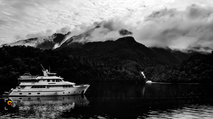 Fiordland, iso 100, f 2.8, 1/850s