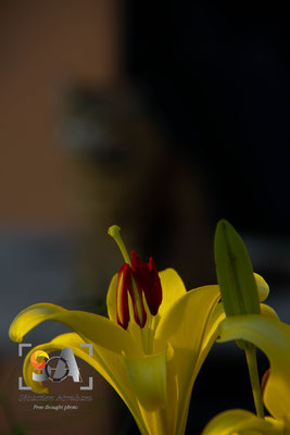 iso 160, f 6.3, 1/250s