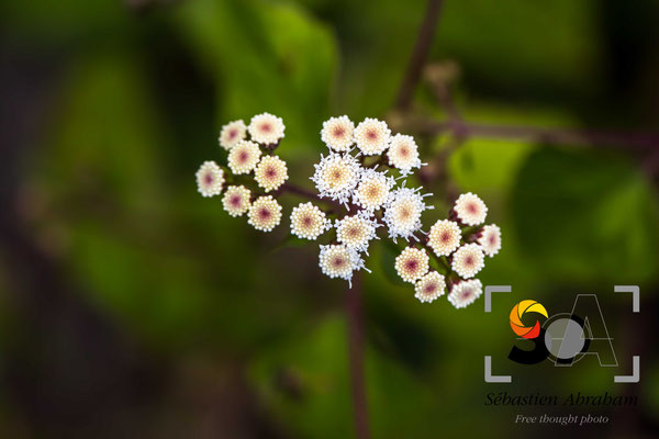 iso 100, f 2.8, 1/160s