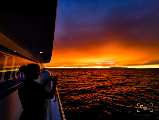 Hauraki golfe, iso 60, f 2.2, 1/60s
