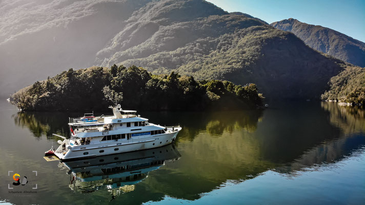 Fiordland, iso 100, f 2.8, 1/90s