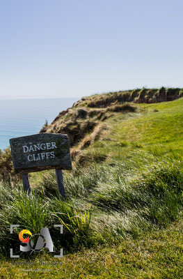 The Farm at Cape Kidnappers, iso 100, f 9.0, 1/200s