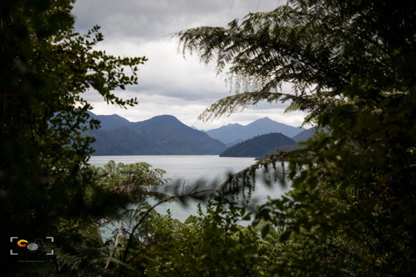 Marlborough sound, iso 1600, f 4.0, 1/1200s
